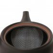 Kyusu Tokoname Sawayaka Kuro