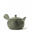 Vintage Kyusu Tokoname Gyokko Iwahada