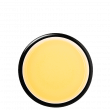 Tisane De Sauge, Herbe Des Montagnes