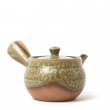 Kyusu Tokoname Isshin Irabo