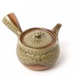 Kyusu Tokoname Isshin Irabo
