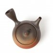 Kyusu Tokoname Isshin Yohen
