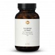 Extrait De Reishi Bio En Gélules