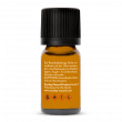 Huile essentielle d'immortelle (H. bracteiferum) bio, sauvage 800 m