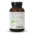 Poudre De Pleurote Bio En Gélules