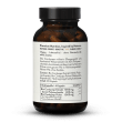 Extrait + Poudre de Cordyceps Bio En Gélules