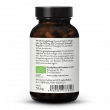 Extrait de Cordyceps Bio En Gélules