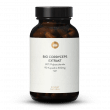 Extrait de Cordyceps Bio En Gélules