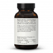 Gluconate de Manganèse  Comprimés 10 mg