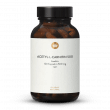 Acétyl-l-Carnitine 500 en Gélules