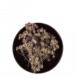 Origan pour infusion Mursalski