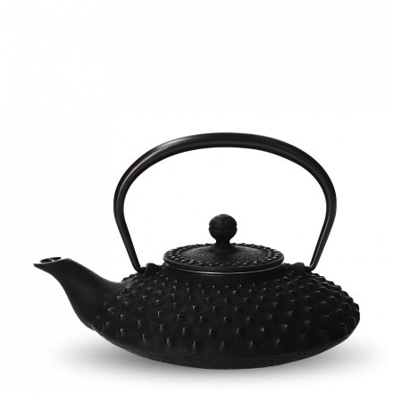 Tetsu-Kyusu Iwachu Kambin noir L