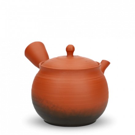 Kyusu Tokoname Gyokko Yohen