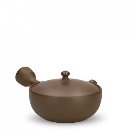 Kyusu Tokoname Gafu Hira