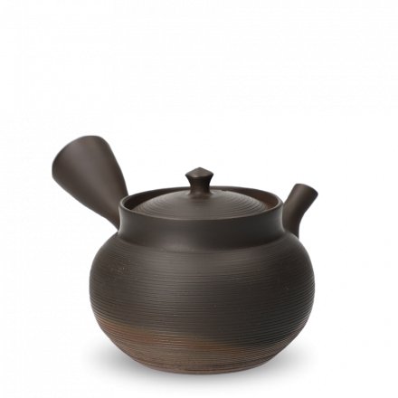 Kyusu Tokoname Gyokko Sendan