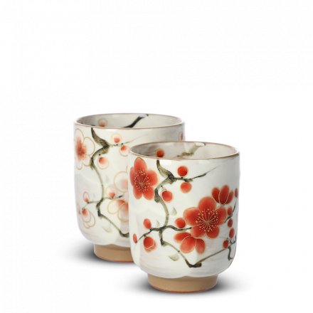 Coffret De 2 Tasses À Thé Japonaises Tōan Ume Yunomi