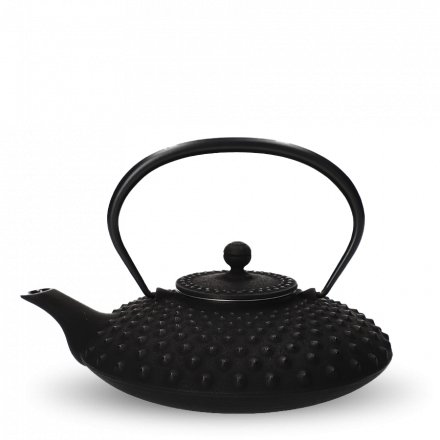 Tetsu-Kyusu Iwachu Kambin noir M