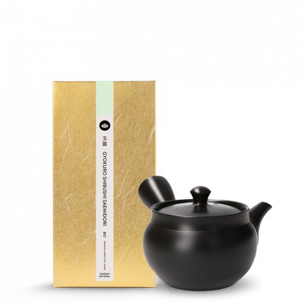 Gyokuro Shibushi Okumidori Bio+ Tokoname Kyusu Kasen