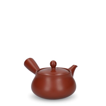 Kyusu Tokoname Hakuyo Aka