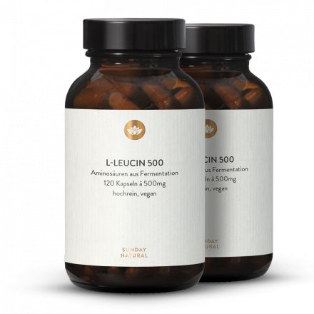 L-leucine 500 en gélules