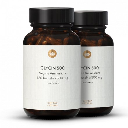 L-Glycine 500 en Gélules