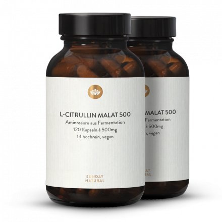 L-Citrulline Malate 500 en Gélules