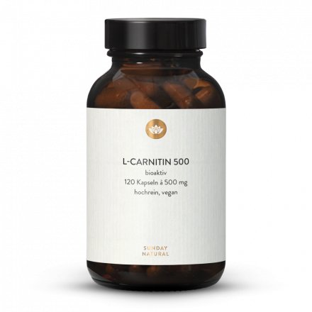 L-Carnitine 500 Gélules Tartrate De Carnitine, Bio-actif 
