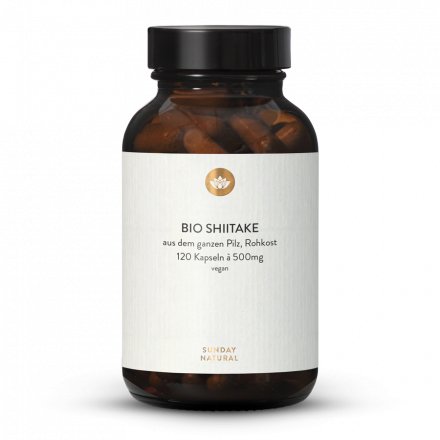 Poudre De Shiitake Bio En Gélules
