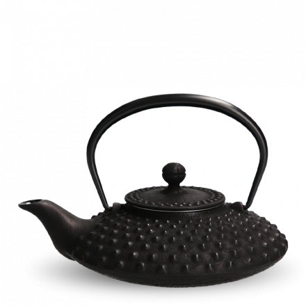 Tetsu-Kyusu Iwachu Kambin noir S