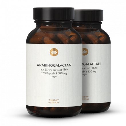 Arabinogalactane Extrait de mélèze laricin