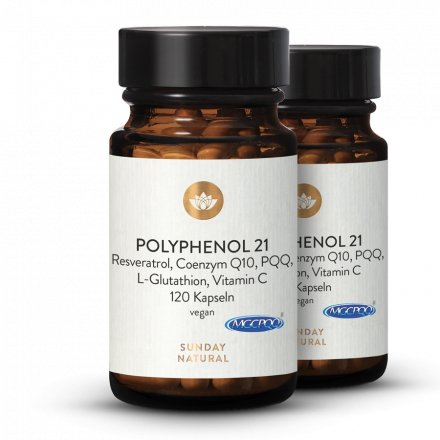 Complexe  Polyphenol 21