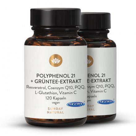 Polyphenol 21 + extrait de thé vert
