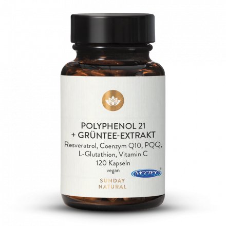 Polyphenol 21  + extrait de thé vert