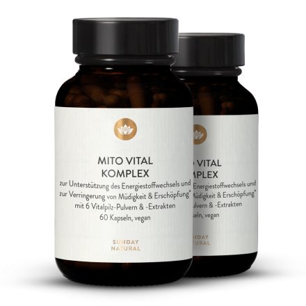 Complexe Mito Vital