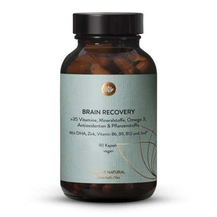 Brain Recovery