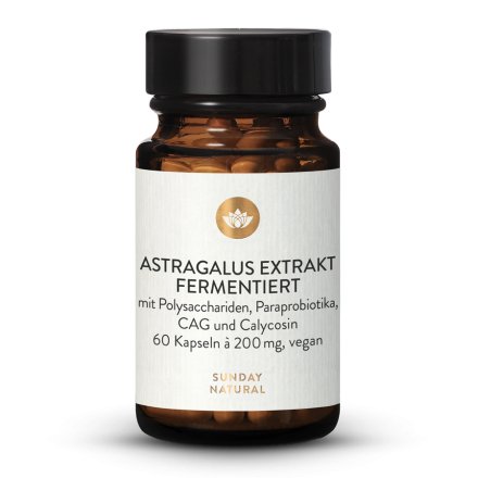 Extrait d'astragale fermenté