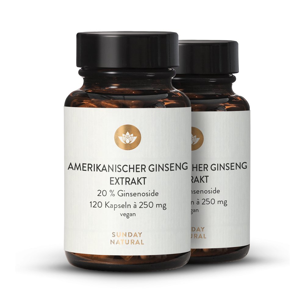 Extrait De Racine De Ginseng Rouge Kenofor - Ginsénosides Max, 1600 Mg Par Dose - Sans Gluten, Vegan