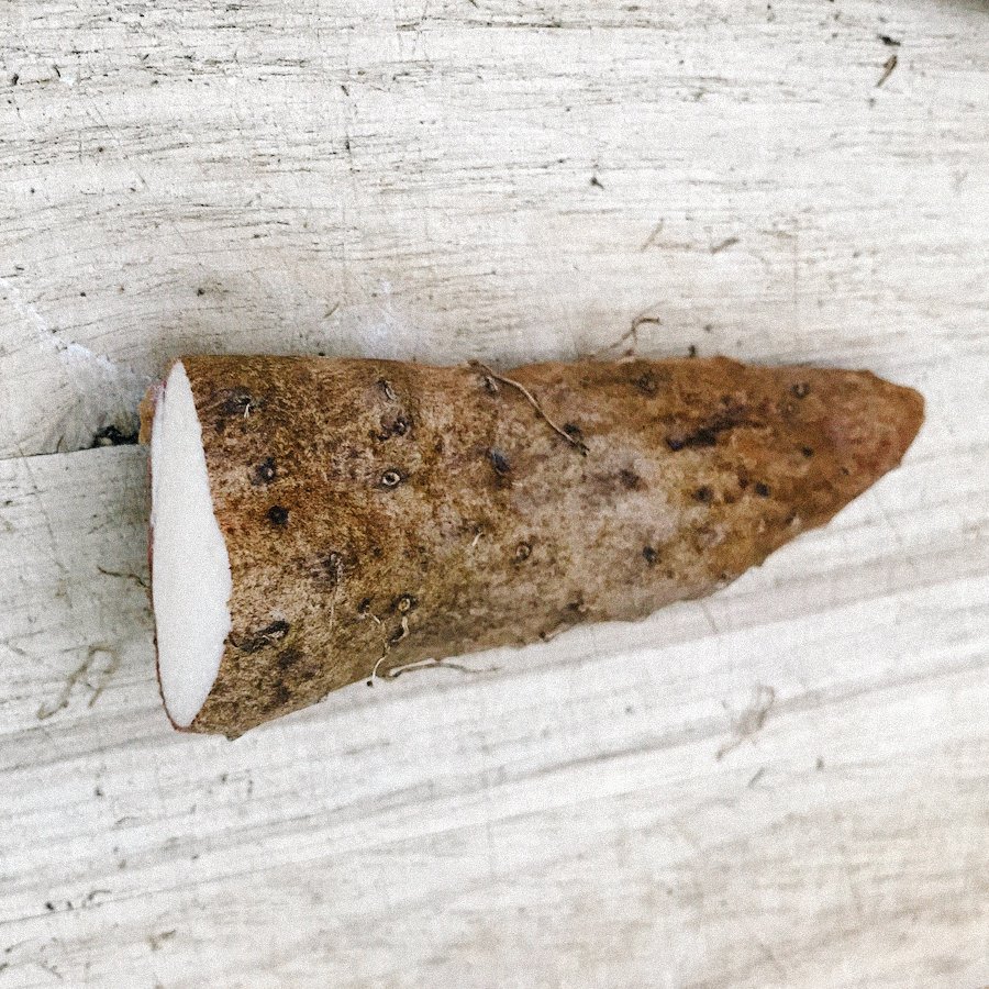 Igname de Chine bio, Mecklembourg-Poméranie occidentale, en qualité d ...