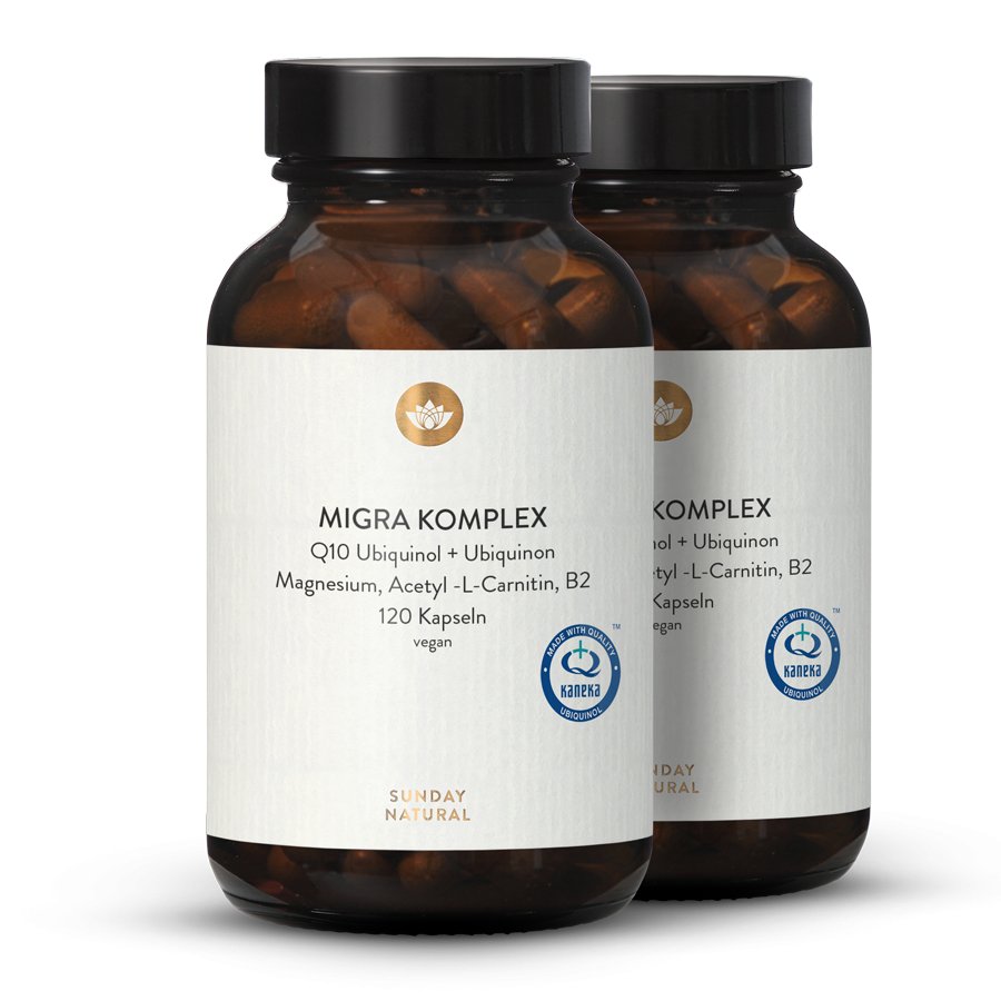 Complexe Migra magnésium B2 Q10 acétylLcarnitine 2 x 120 gélules