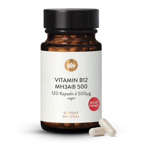 Vitamine B12 Formule MH3A® 500µg