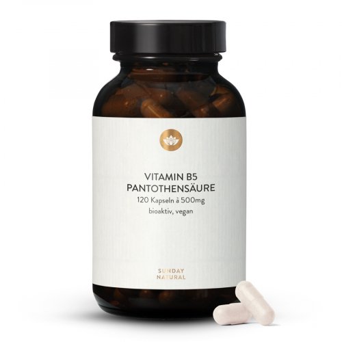 Vitamine B5 Acide Pantothénique Dosage Élevé