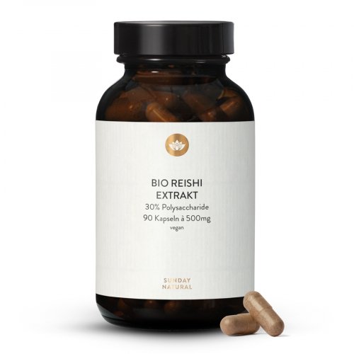 Extrait De Reishi Bio En Gélules