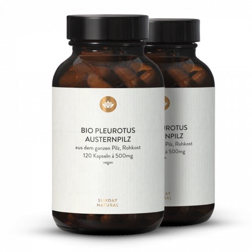 Poudre De Pleurote Bio En Gélules
