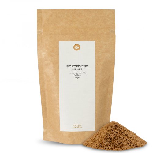 Poudre de Cordyceps Bio
