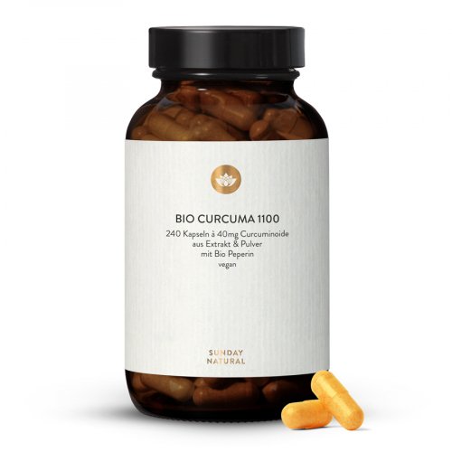 Curcuma Bio 1100
