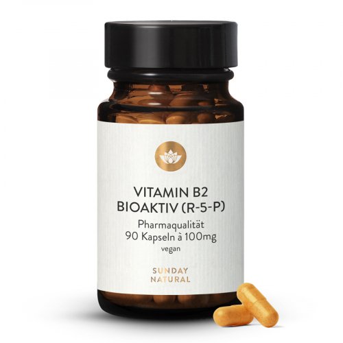 Vitamine B2 R-5-P Bioactive Dosage Élevé 100 mg