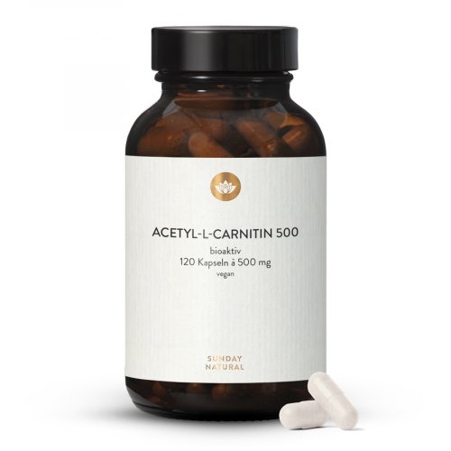Acétyl-l-Carnitine 500 en Gélules