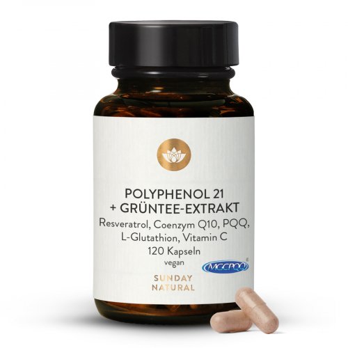 Polyphenol 21  + extrait de thé vert