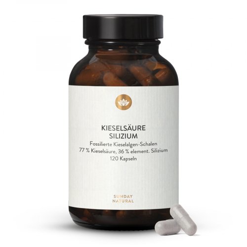Acide silicique 350 Mg Silicium organique