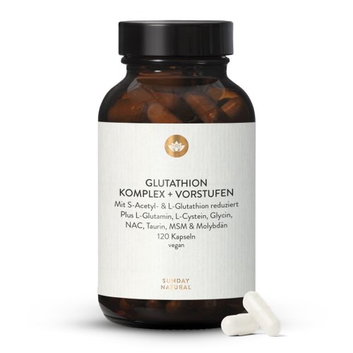 Glutathion Komplex + Vorstufen